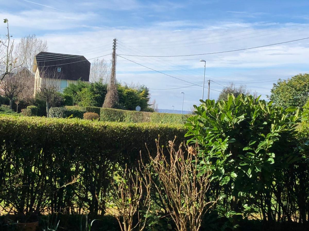 Studio En Rez De Jardin -"Le Petit Nid" A Trouville Kültér fotó
